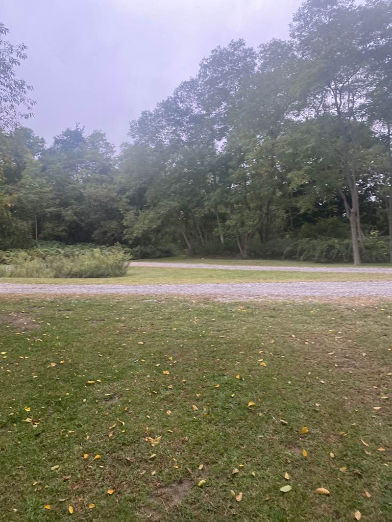 walking near me in Bayview Park in autumn