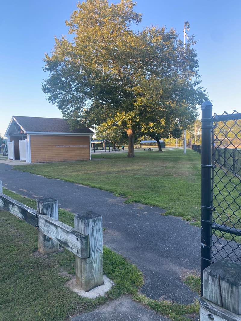 walking near me in Ziegler Park in autumn