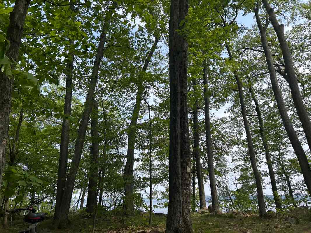 walking near me in Killbear Provincial Park in summer