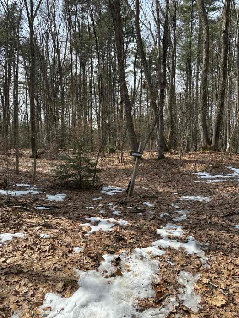 walking near me in Cook Conservation Area in spring