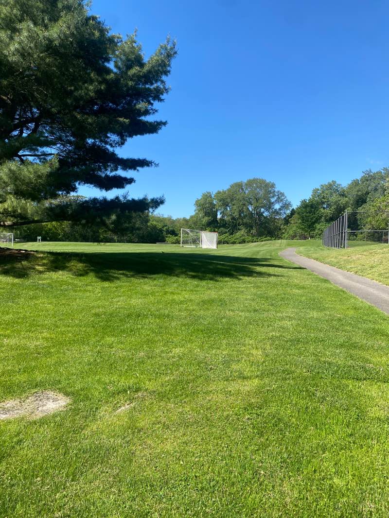 walking near me in Cold Spring Park in summer