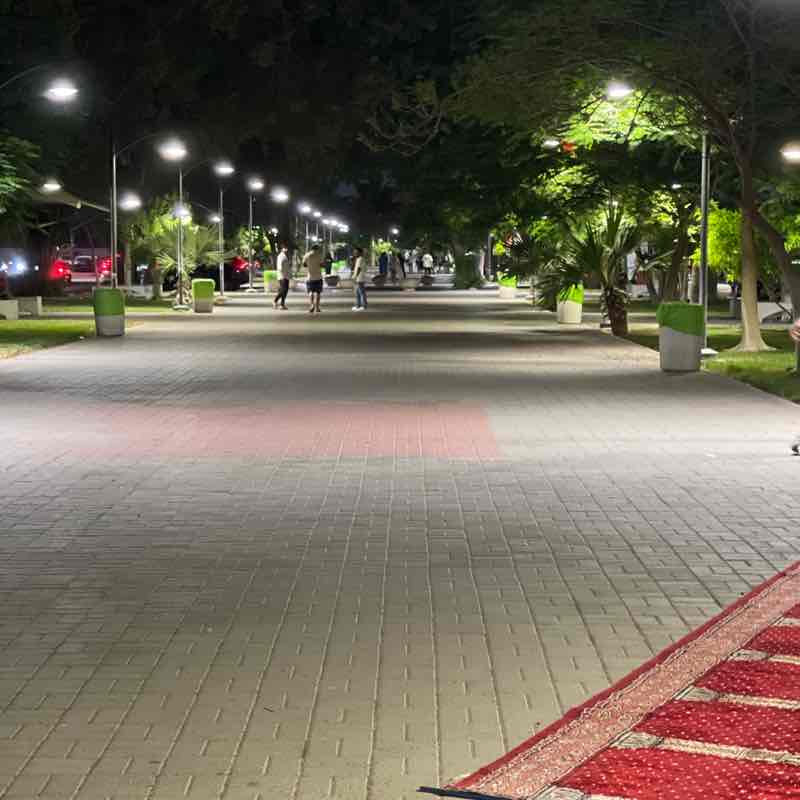 سائد بن مجدي طرابزوني Sa'ed Majdi Tarabzouni🫡👌🦩🌪️🕋💊🇸🇦 post 1