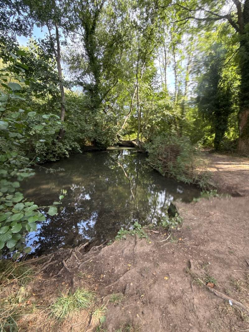 walking near me in Jephson Gardens in summer