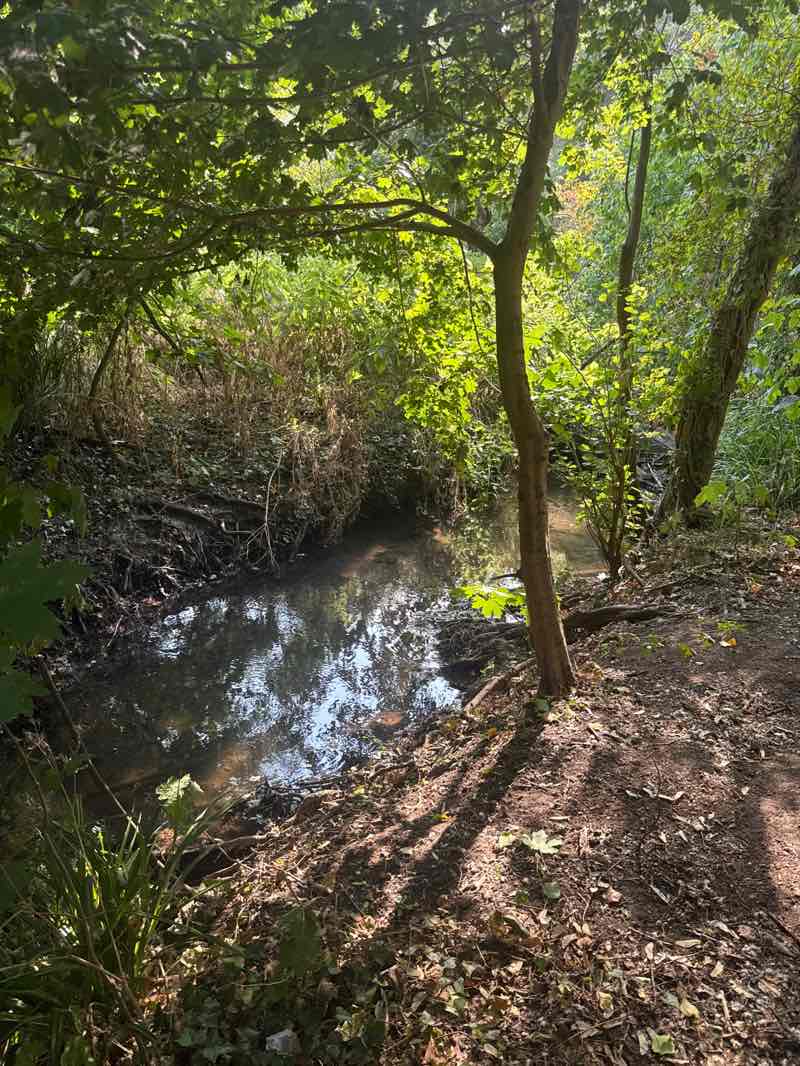 walking near me in Streamside in summer