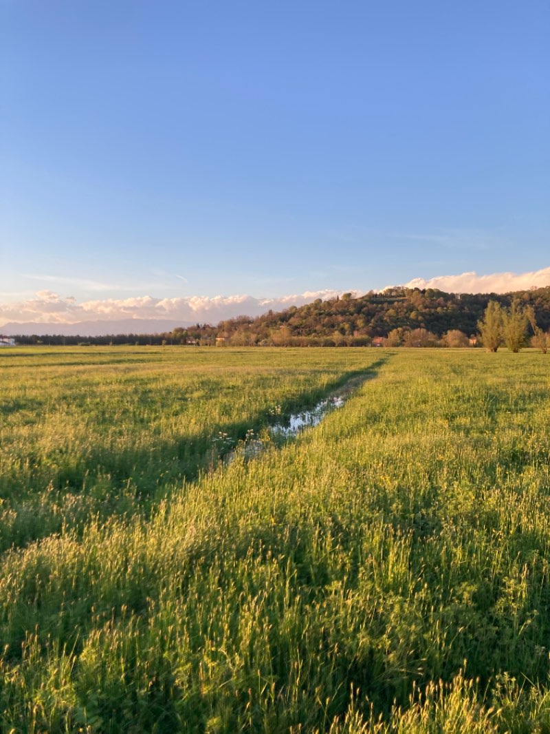 walking near me in Parco Retrone in winter