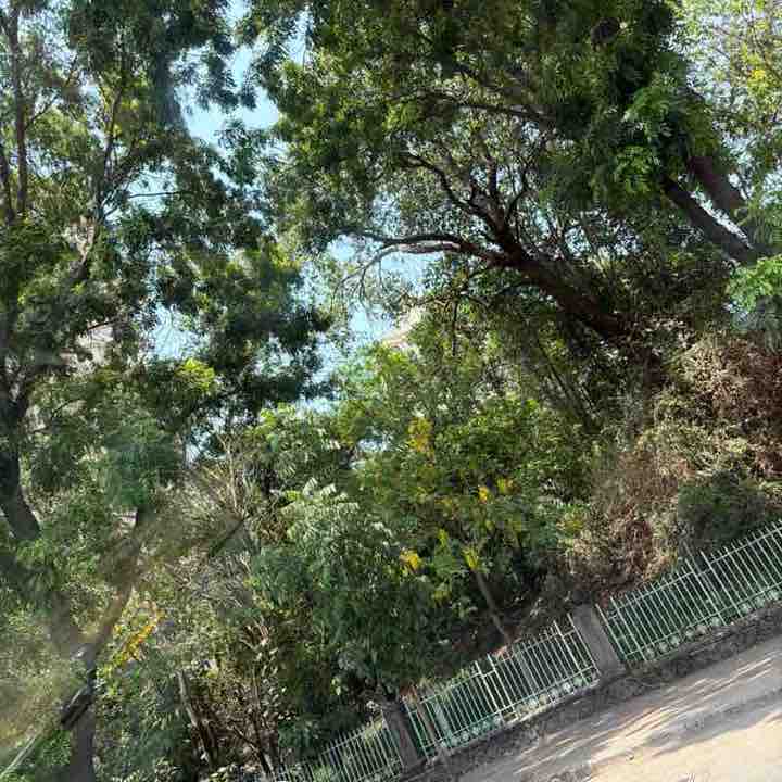 Amit post 1