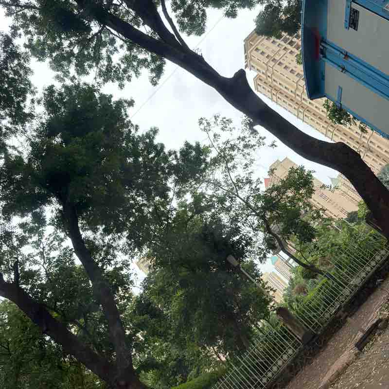 Amit post 1