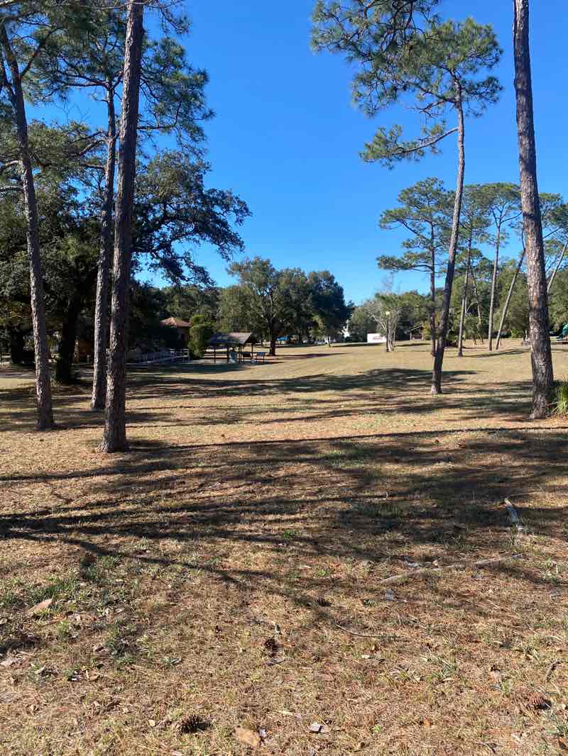 walking near me in Miraflores Park in winter