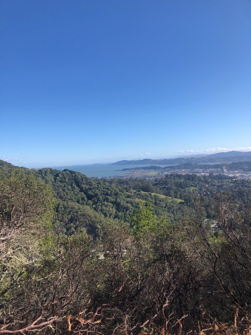 walking near me in San Pedro Mountain Open Space Preserve in winter