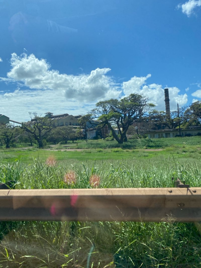 walking near me in Haliimaile Park in winter