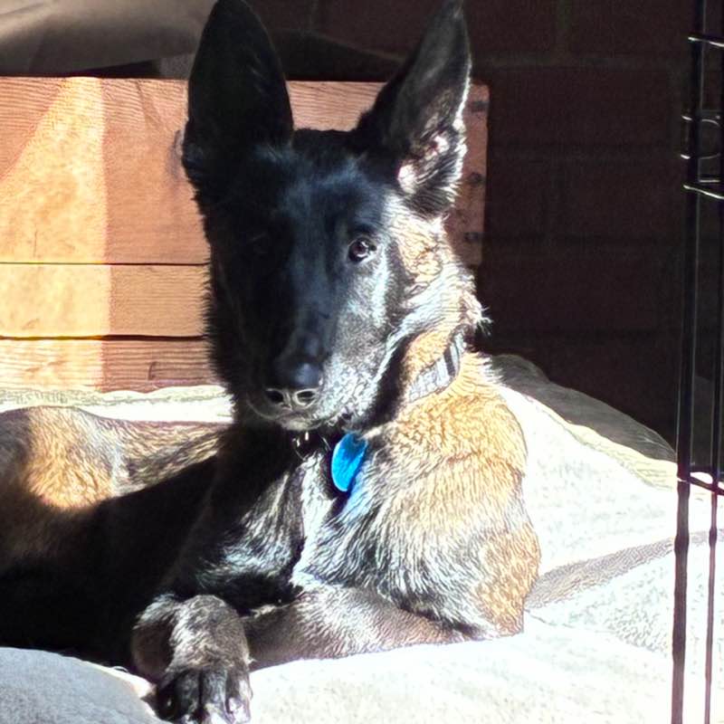 Free Strides swanny714 post image