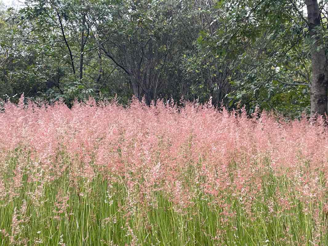 walking near me in Ecoparque Metropolitano in autumn