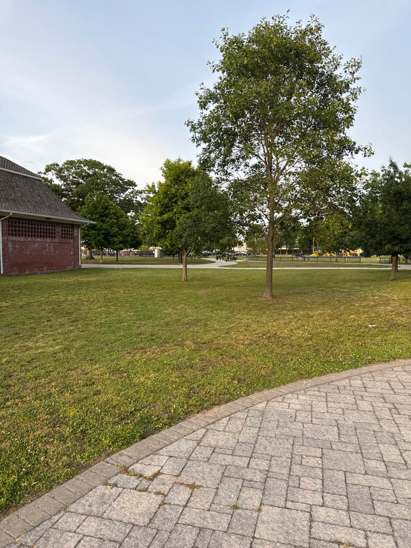walking near me in Theodore Roosevelt Memorial Park in summer