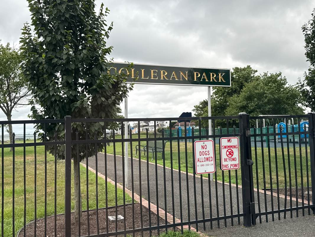 walking near me in Colleran Park in summer