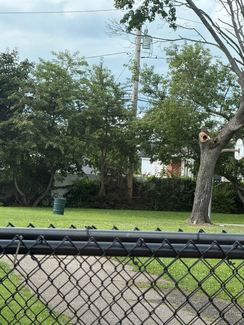 walking near me in Peachtree Park H-2 in summer