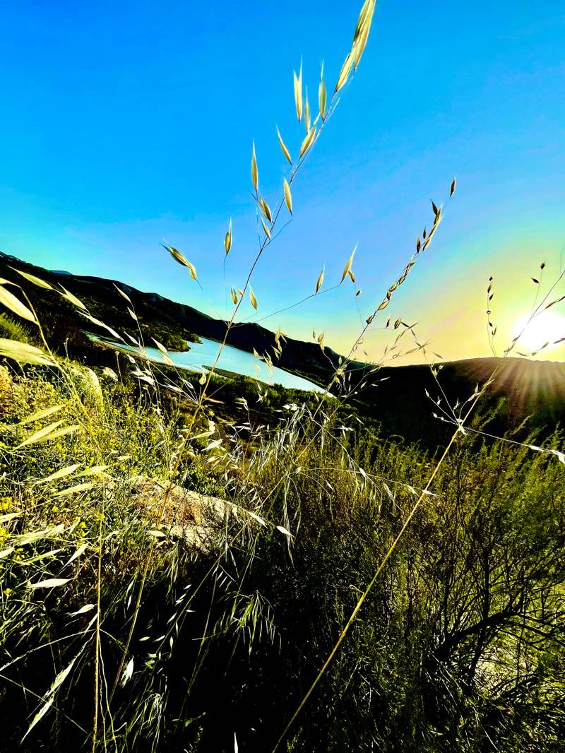 walking near me in San Dieguito River Park in winter