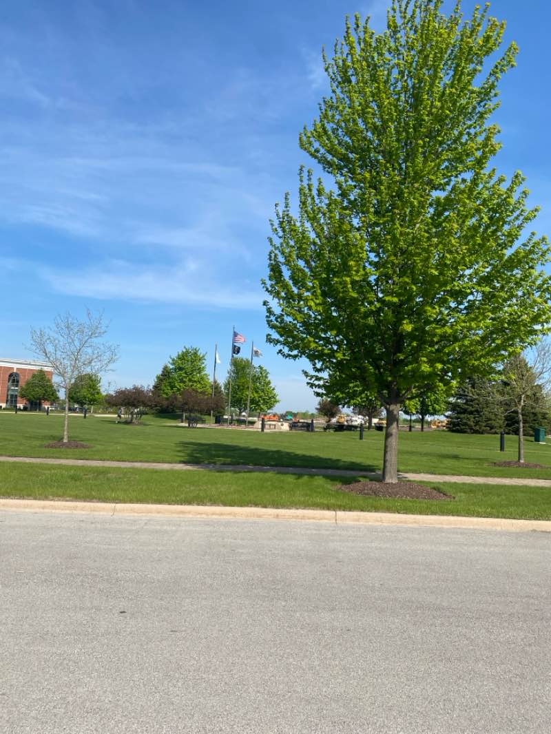 walking near me in Towne Center Park in spring
