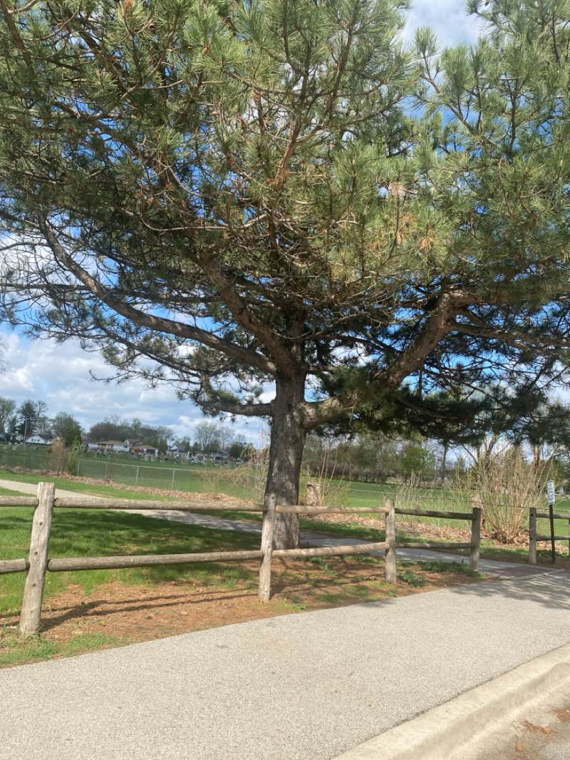 walking near me in Garnsey Park in spring