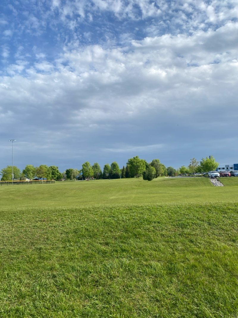 walking near me in Renwick Community Park in spring
