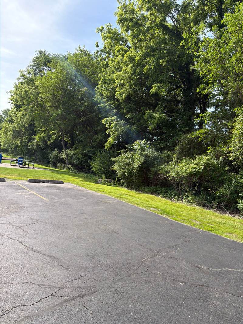 walking near me in Lions Park in summer