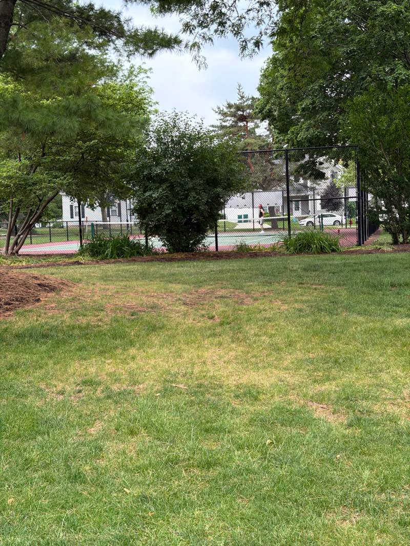 walking near me in Village Green Park in summer