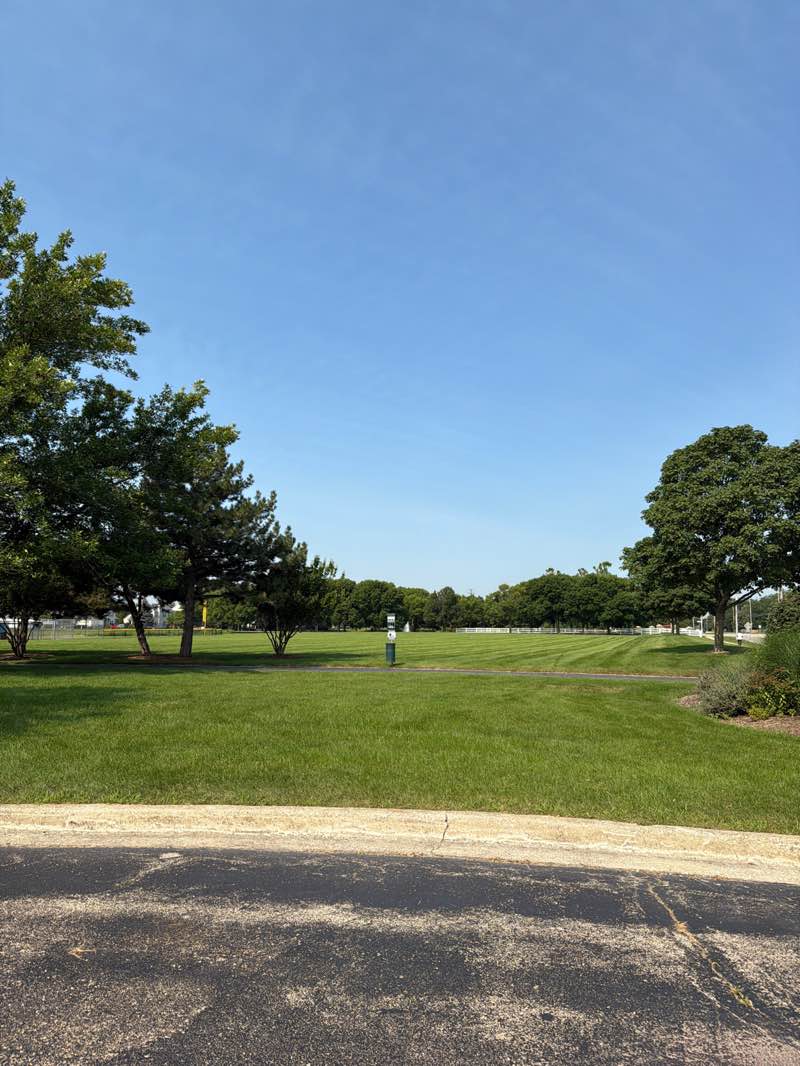 walking near me in Century Park in summer