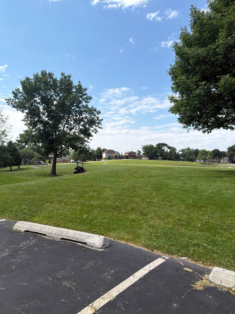 walking near me in Kasey Meadow Park in summer