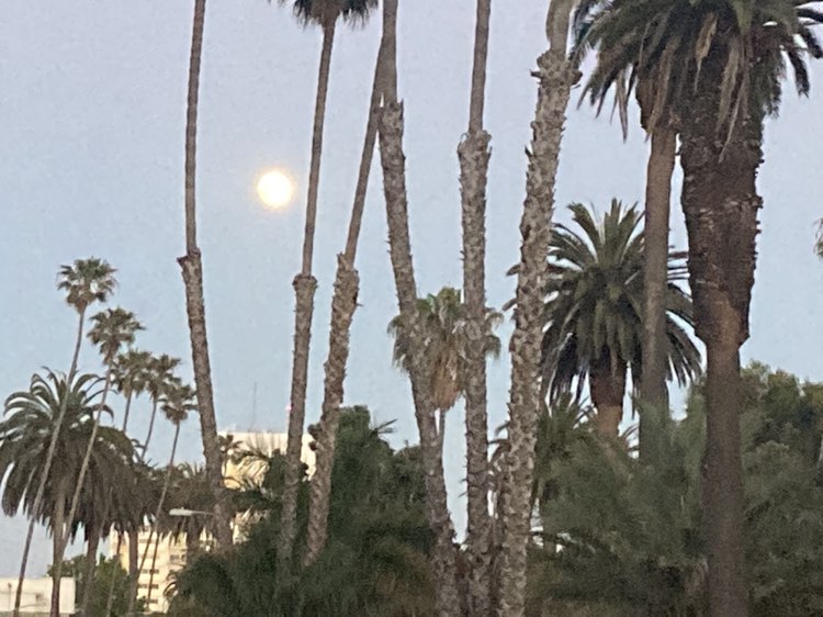 walking near me in Palisades Park in autumn