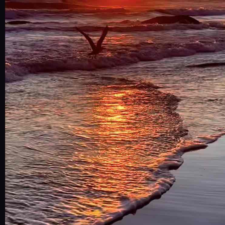 RR. post 1
