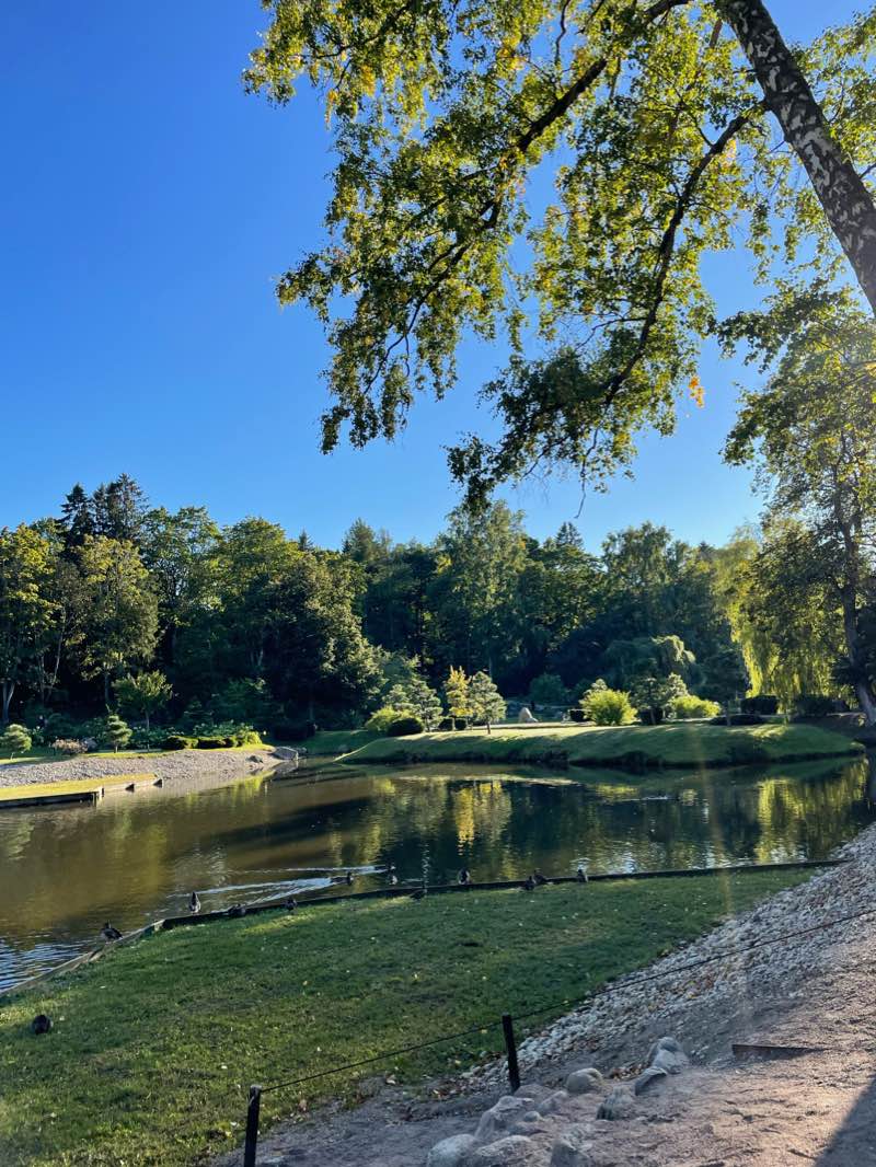 walking near me in Lillepi park in winter