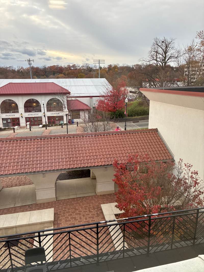 walking near me in Chapin Hall Quad in autumn