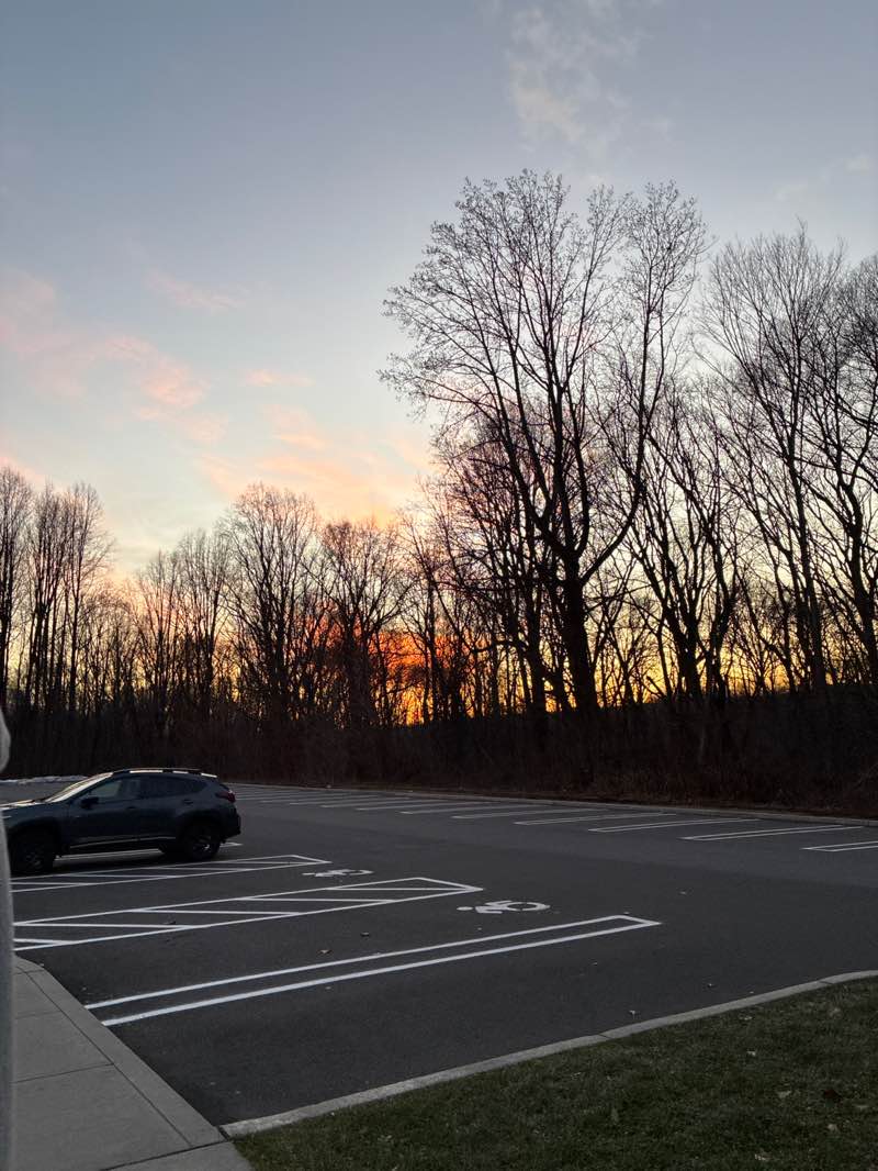 walking near me in Eisenhower Park in winter
