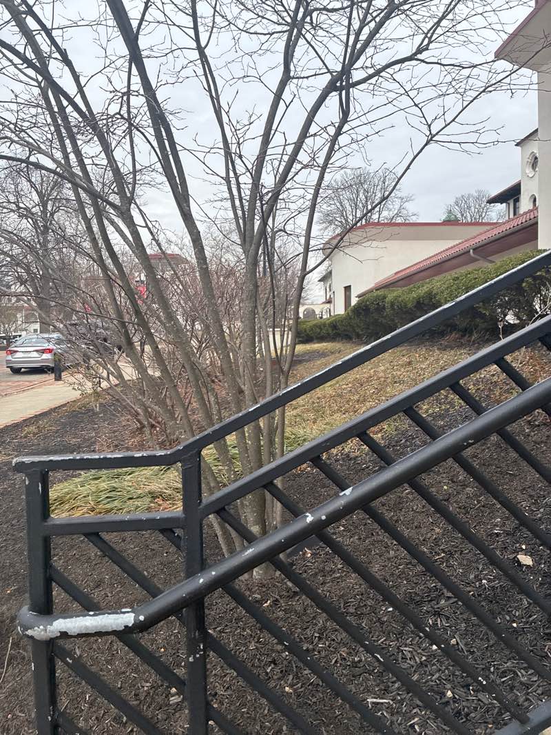 walking near me in Chapin Hall Quad in winter