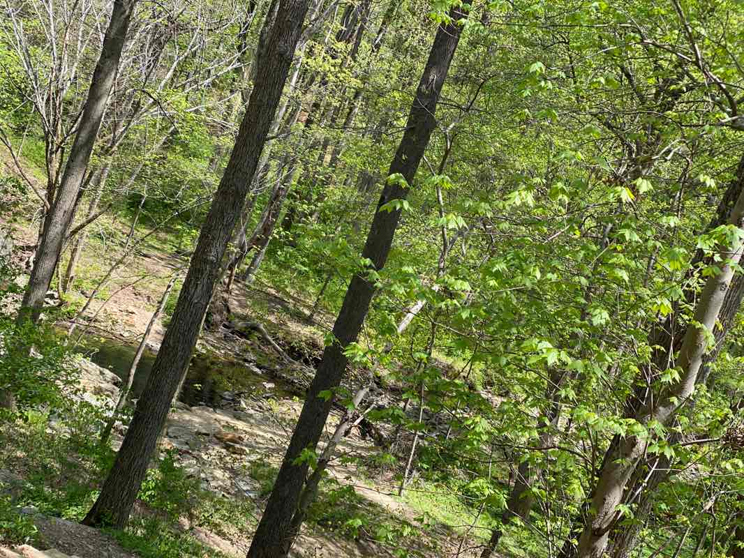 walking near me in Rockville Civic Center Park in winter