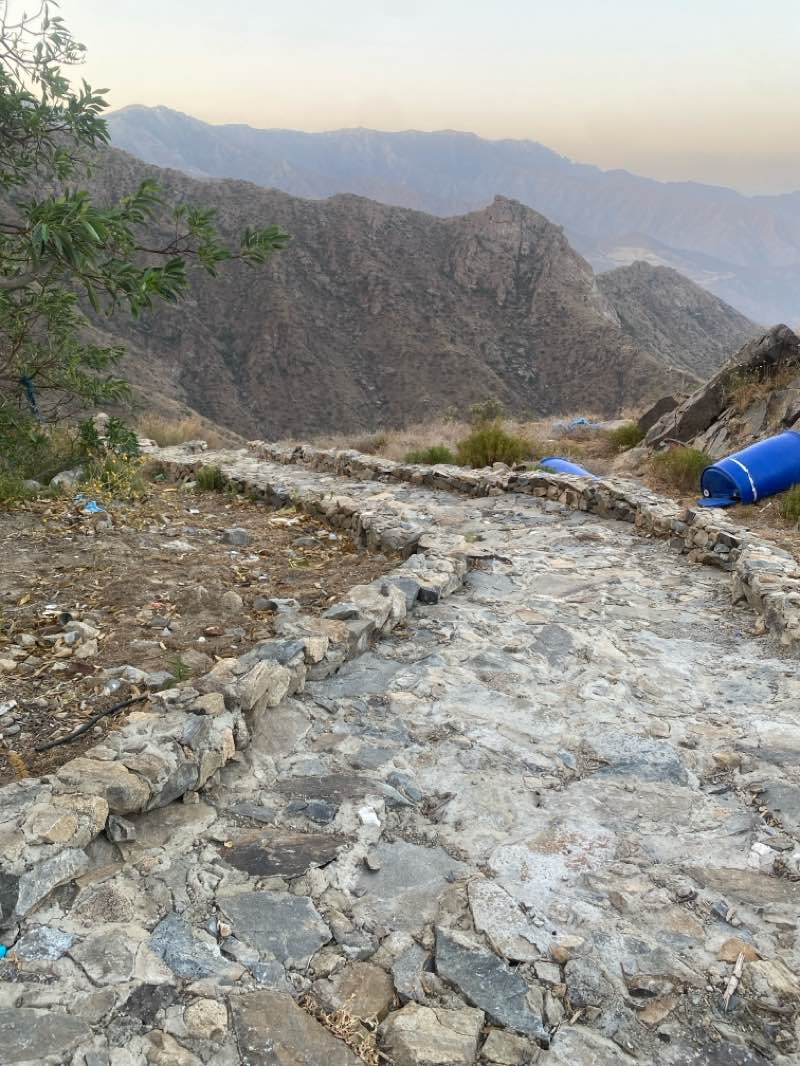 walking near me in منتزه شعف آل وليد in summer