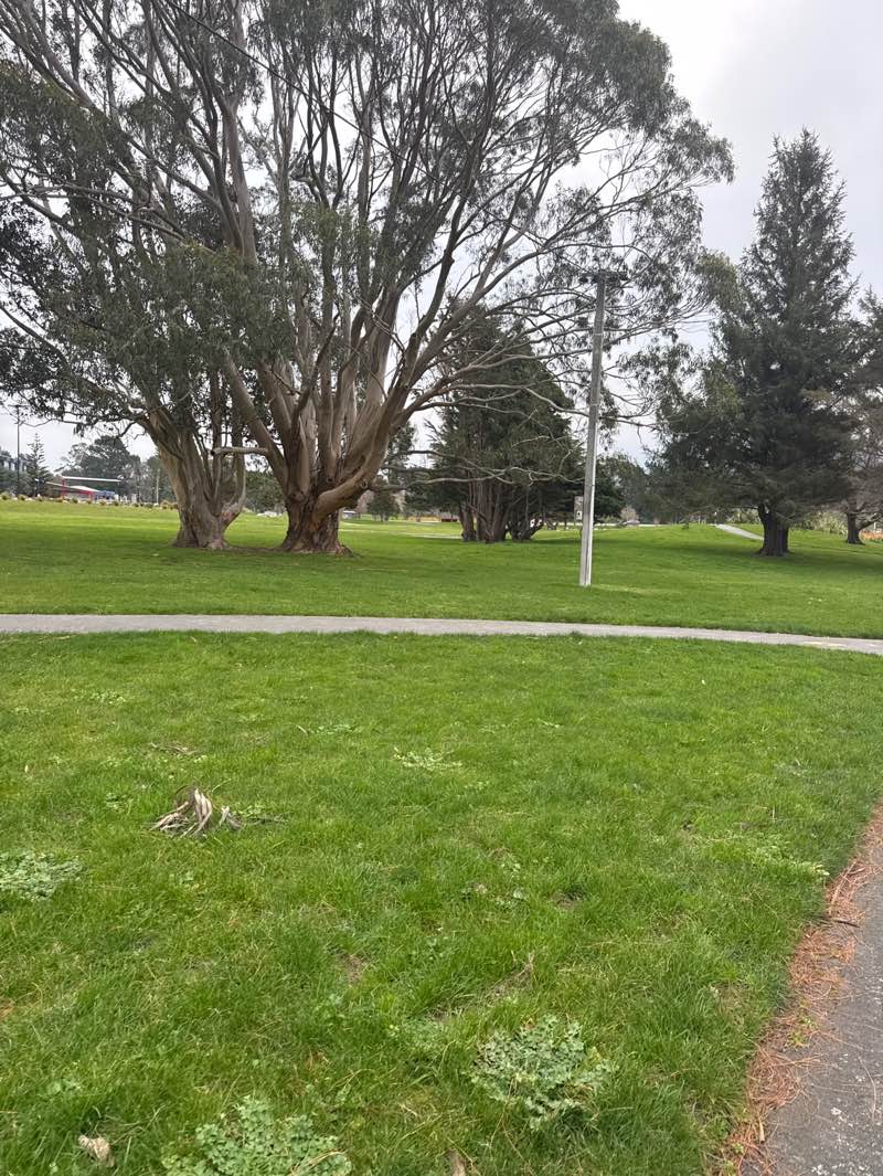 walking near me in Avalon Park in winter