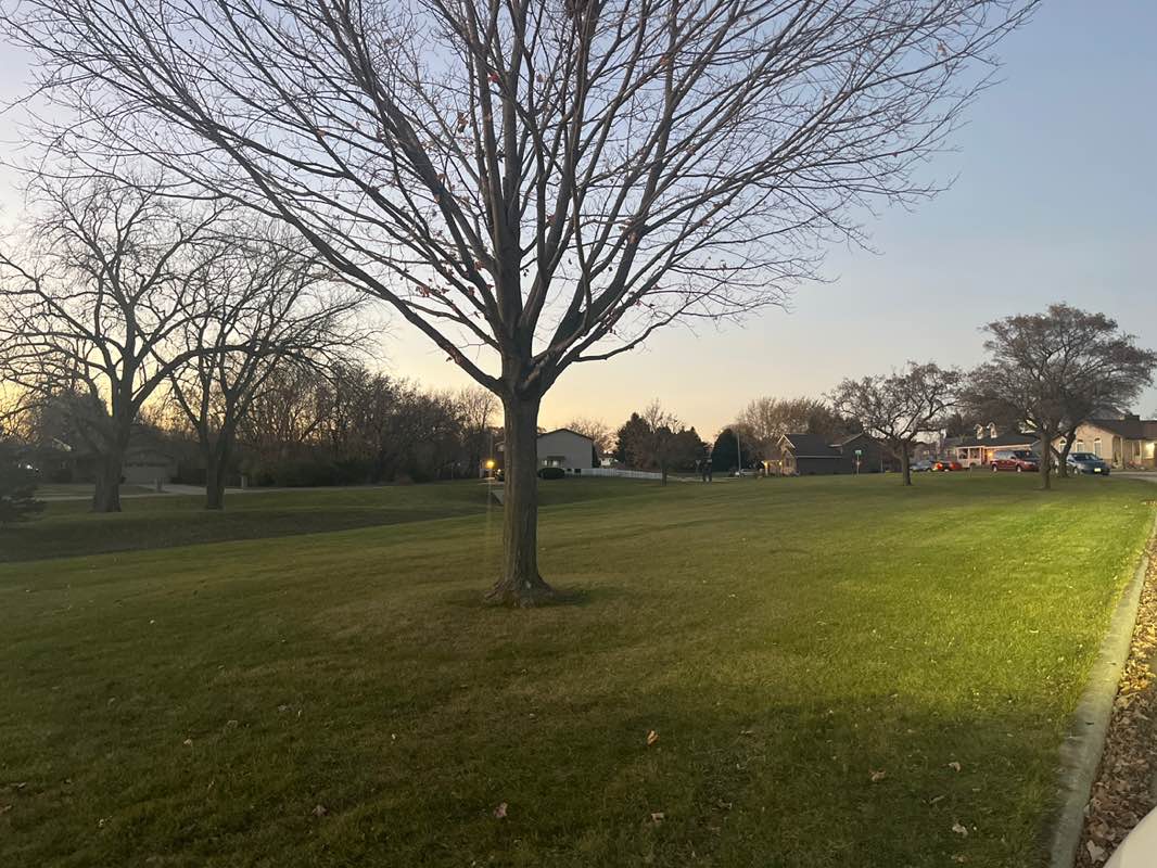 walking near me in Jamestown Park in autumn