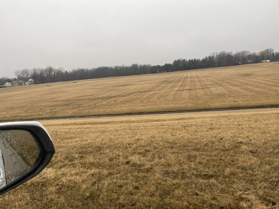 walking near me in Maple Park in spring