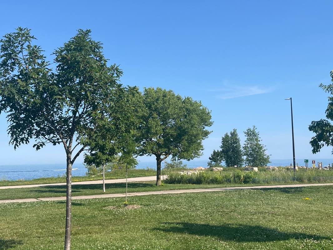 walking near me in East Park in autumn