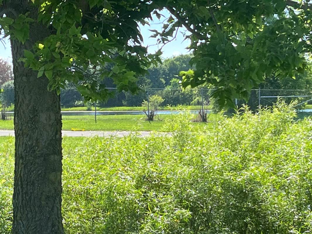 walking near me in Haban Park in autumn