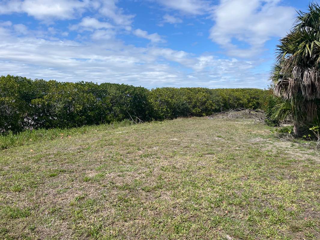 walking near me in Alice Park in spring