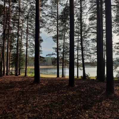 Заметки вечно худеющей) Ли post image