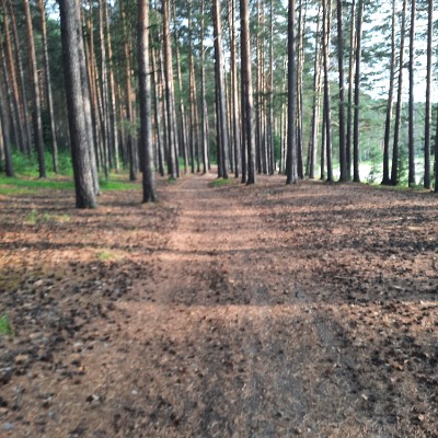 Заметки вечно худеющей) Ли post image