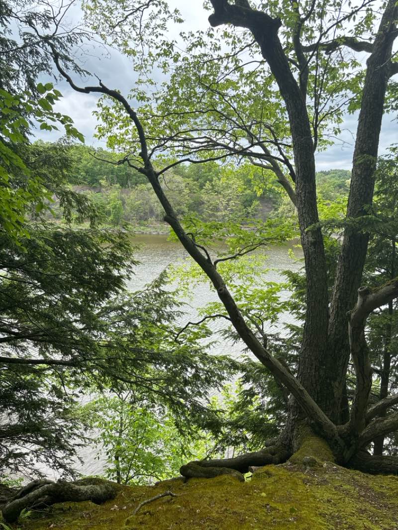 walking near me in Peebles Island State Park in spring