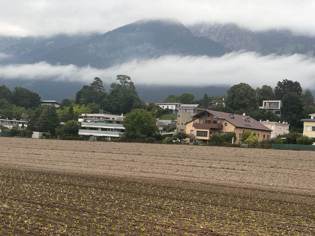 walking near me in Stiftsgarten in summer