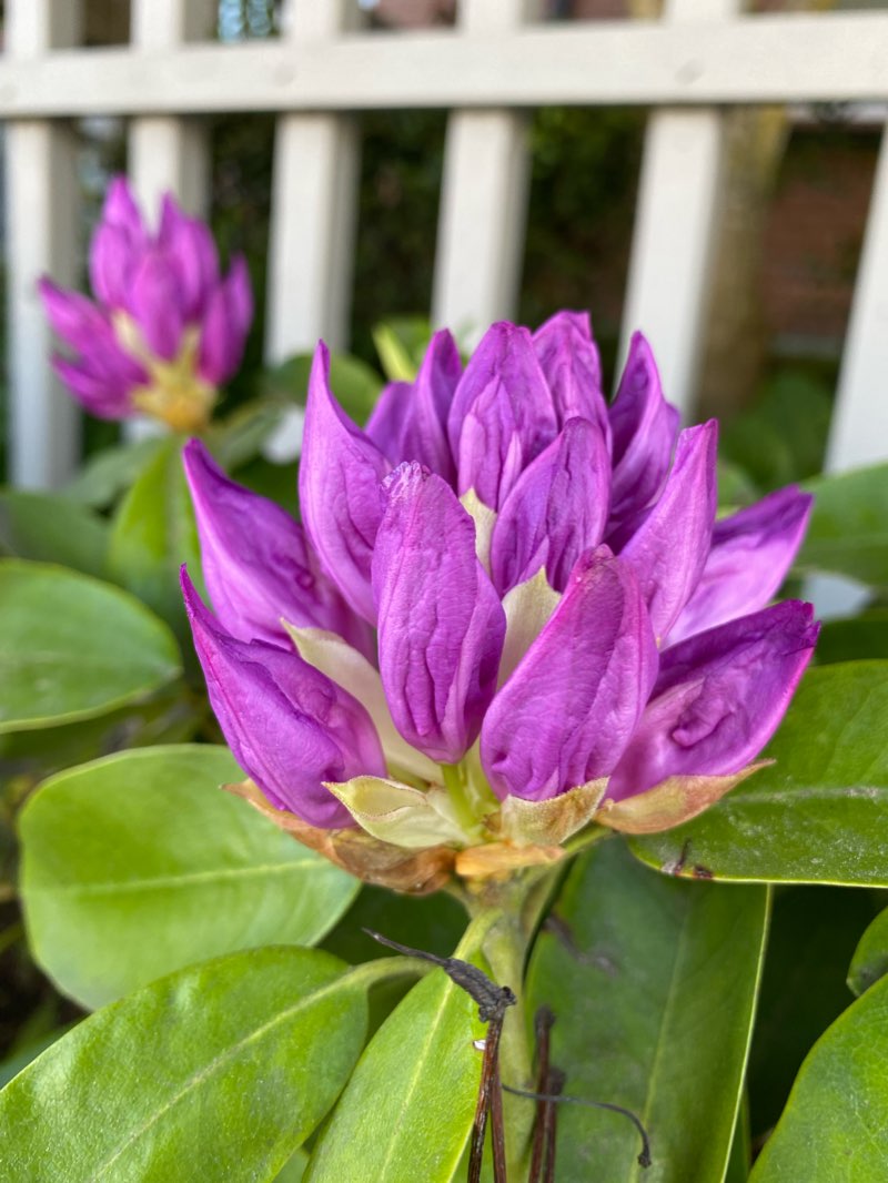 walking near me in Garden City Lands in winter