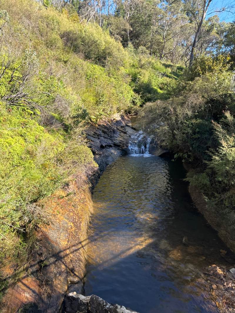 walking near me in Wilson Park in summer
