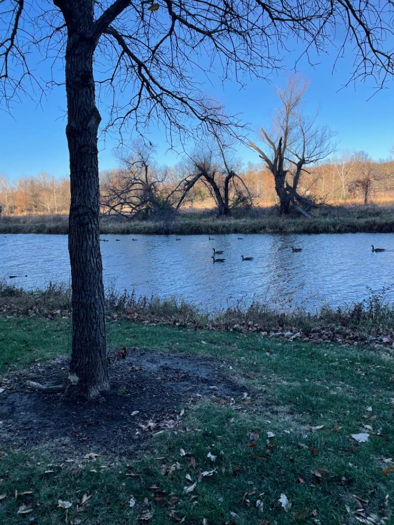 walking near me in 87th Lane Access Park in winter