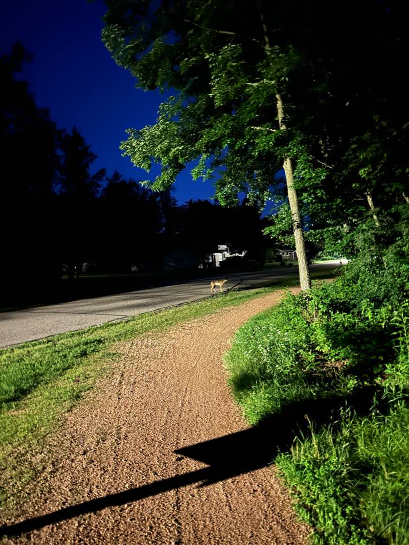 walking near me in Whiting Well Field in winter