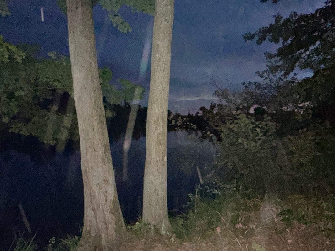 walking near me in Lower Whiting Park in winter